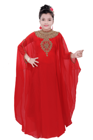 Red Georgette Hand Embroidery Party Wear Farasha