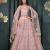 Light Pink Net Embroidered Designer Lehenga Choli With Stone Work