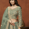 Green net designer lehenga choli._Satika India