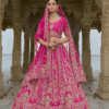 Rani Pink Silk Bridal Lehenga Choli | South Africa